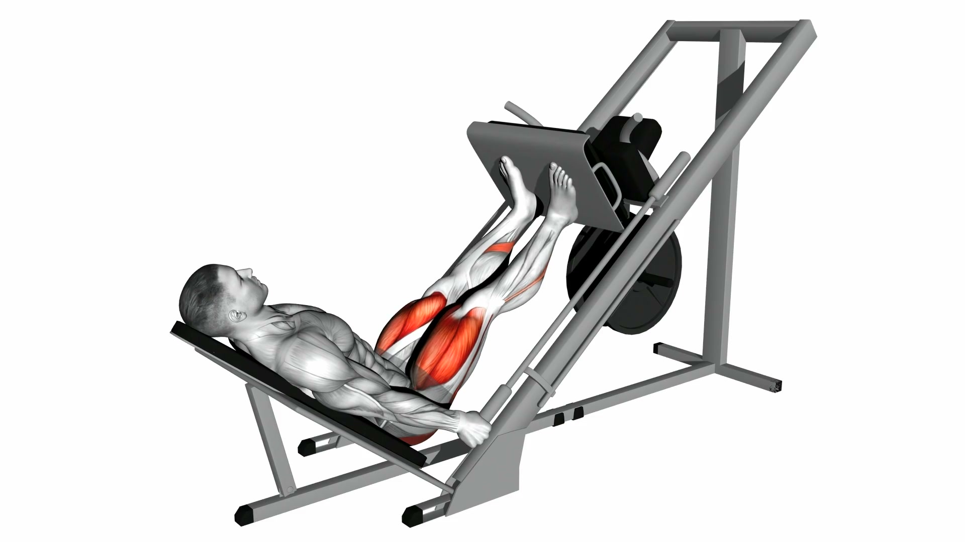 Close Feet Leg Press demo