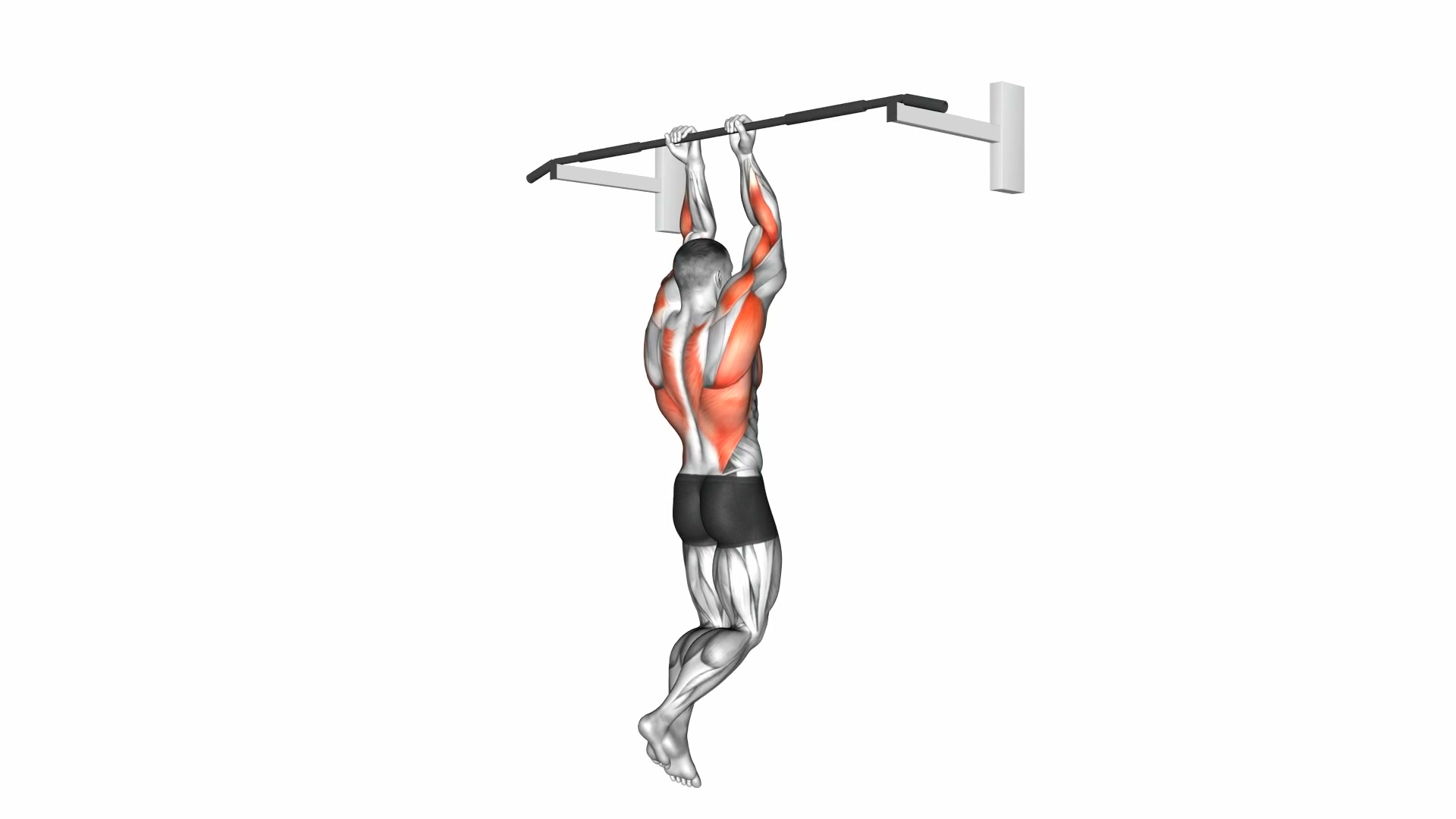 Close Grip Chin-Up demo