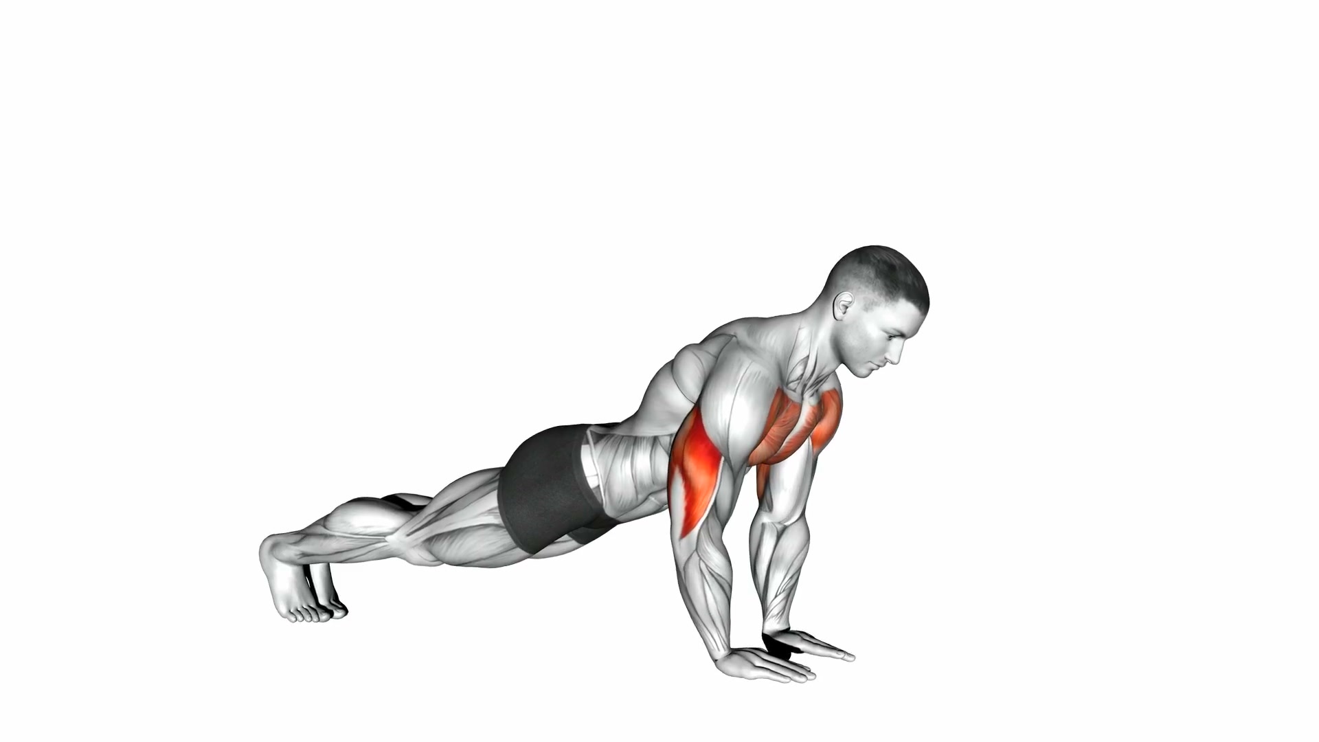 Close-Grip Push-Up demo