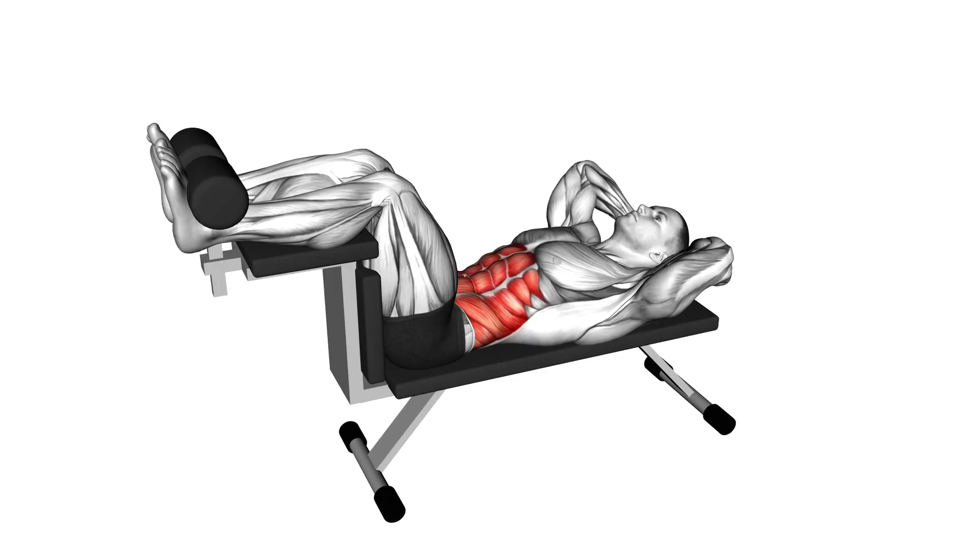 Bench Crunch demo