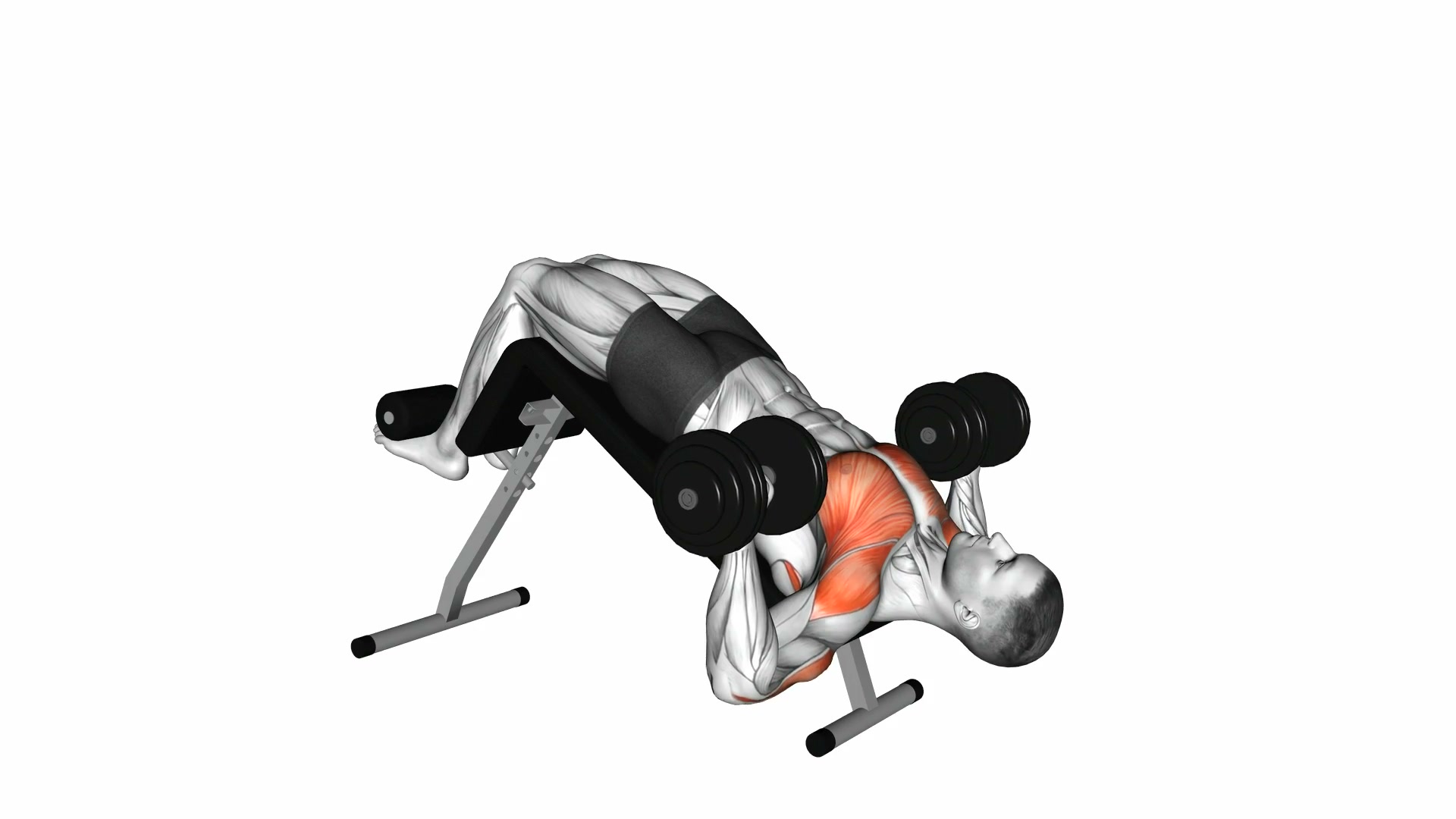 Decline Dumbbell Bench Press