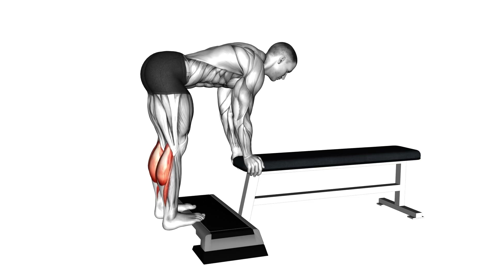 Donkey Calf Raise demo
