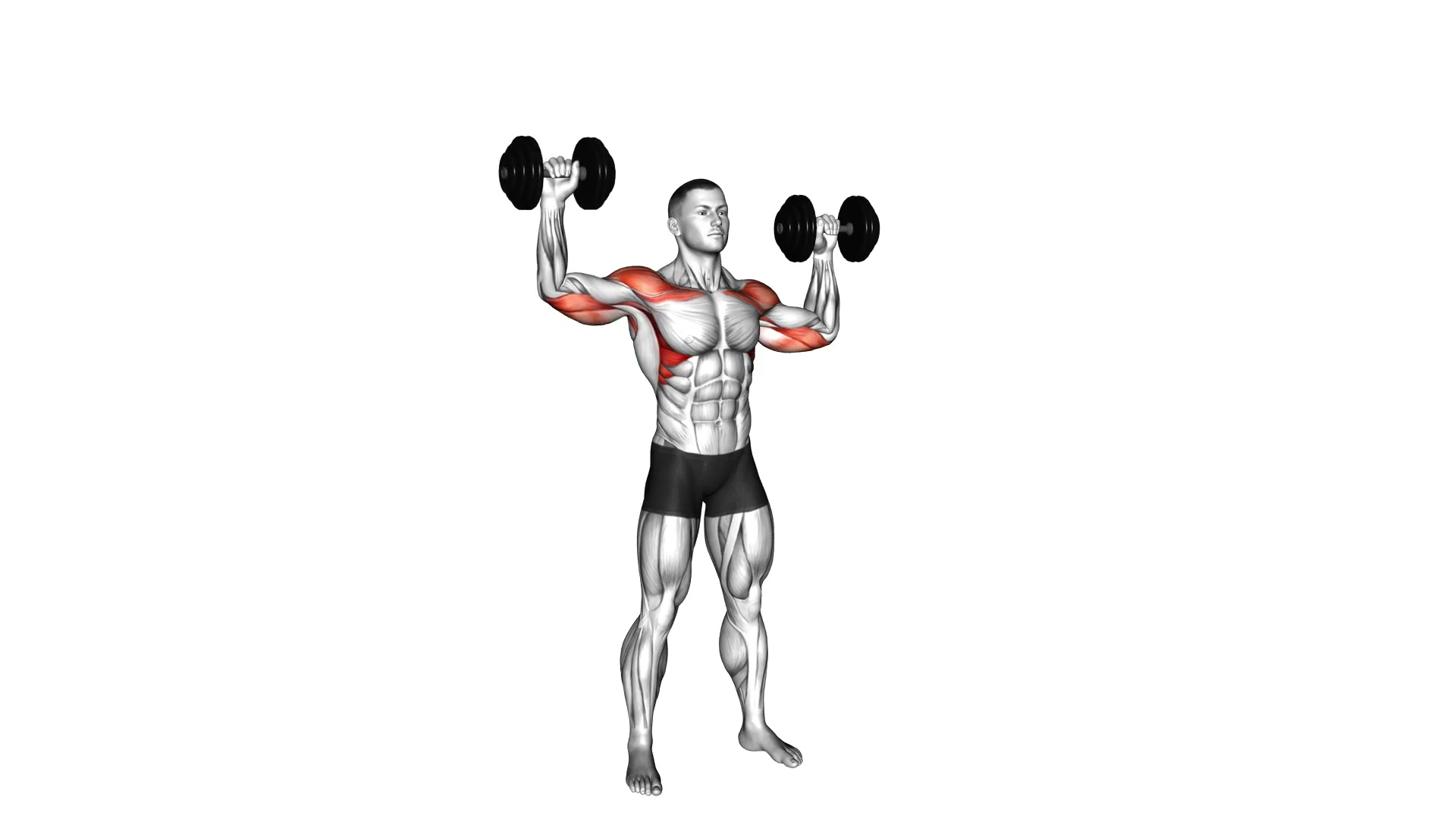 Dumbbell Alternating Shoulder Press demo