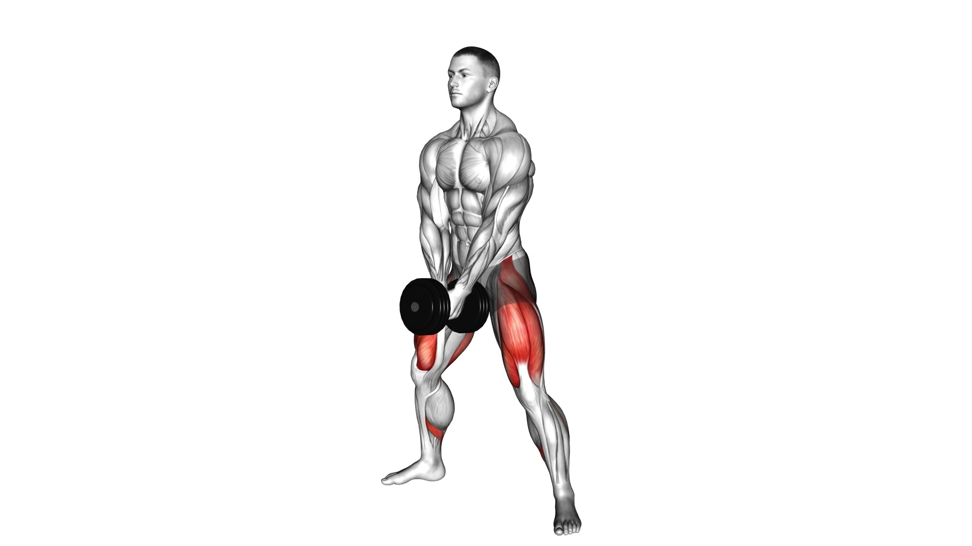 Dumbbell Sumo Squat demo