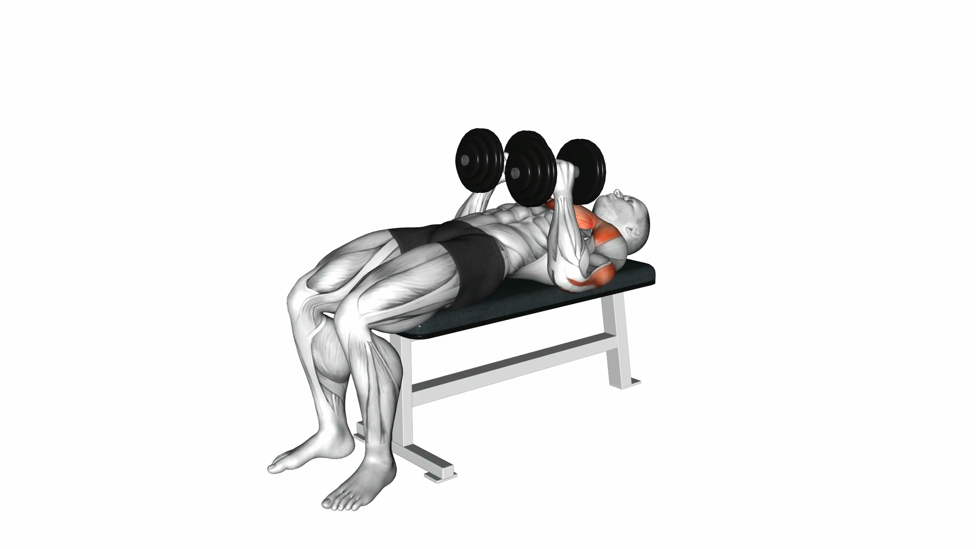 Dumbbell Close-Grip Press demo