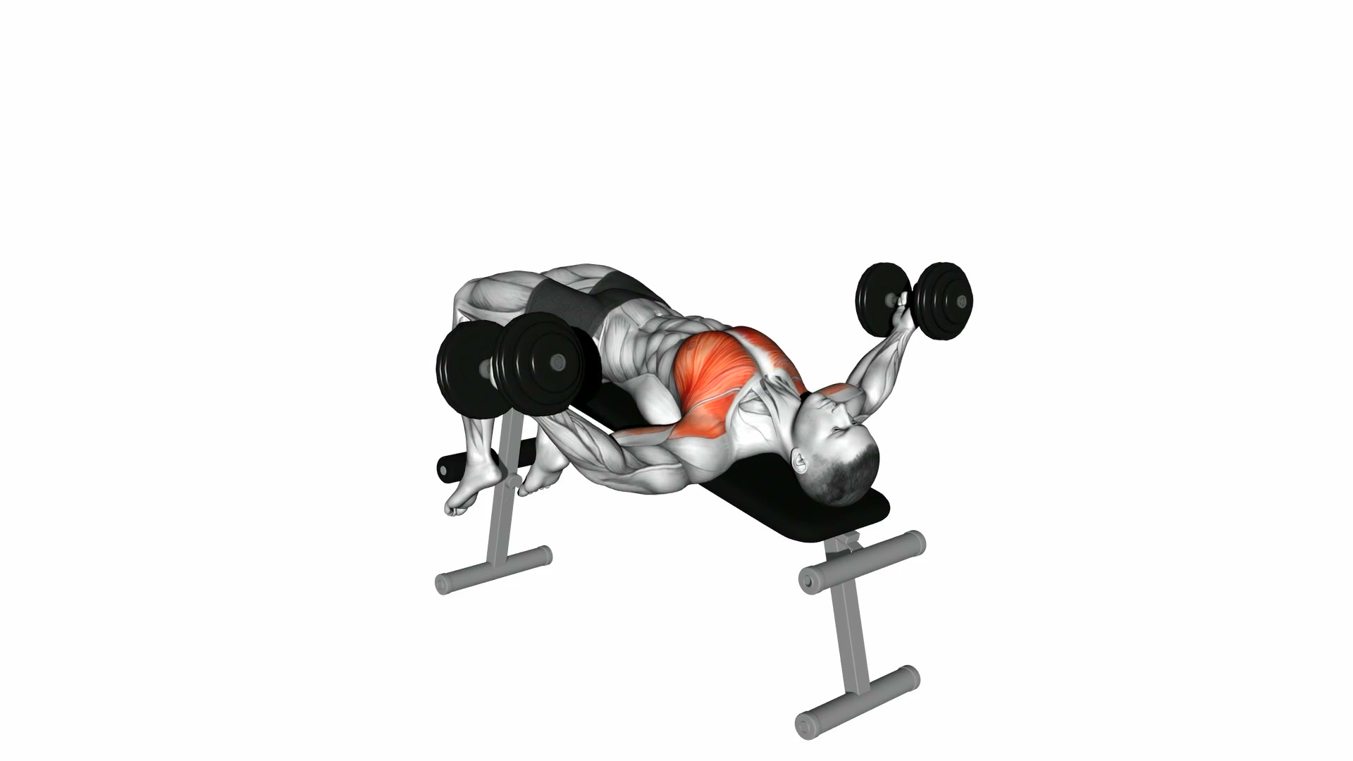 Decline Dumbbell Fly