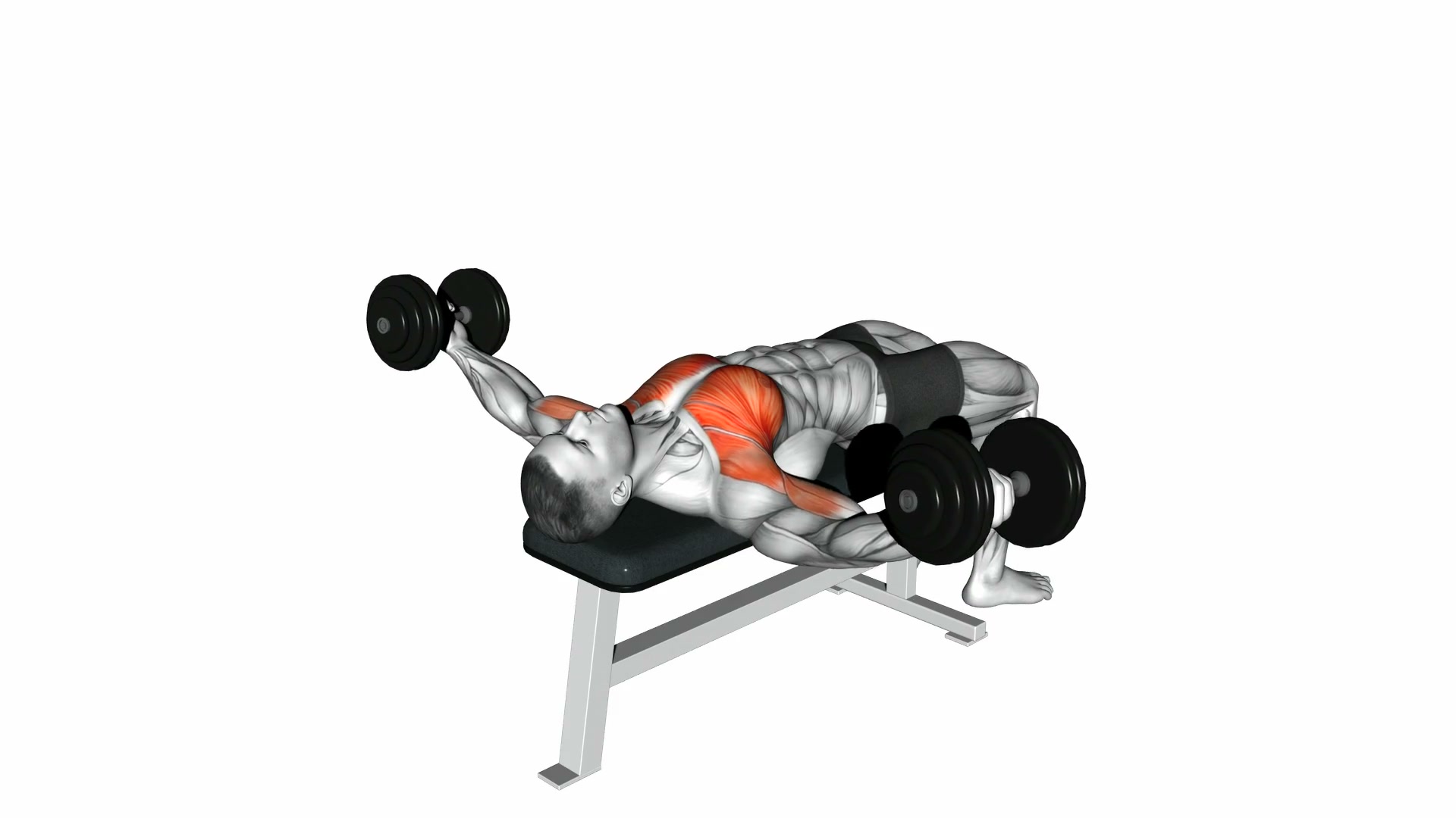 Dumbbell Fly demo