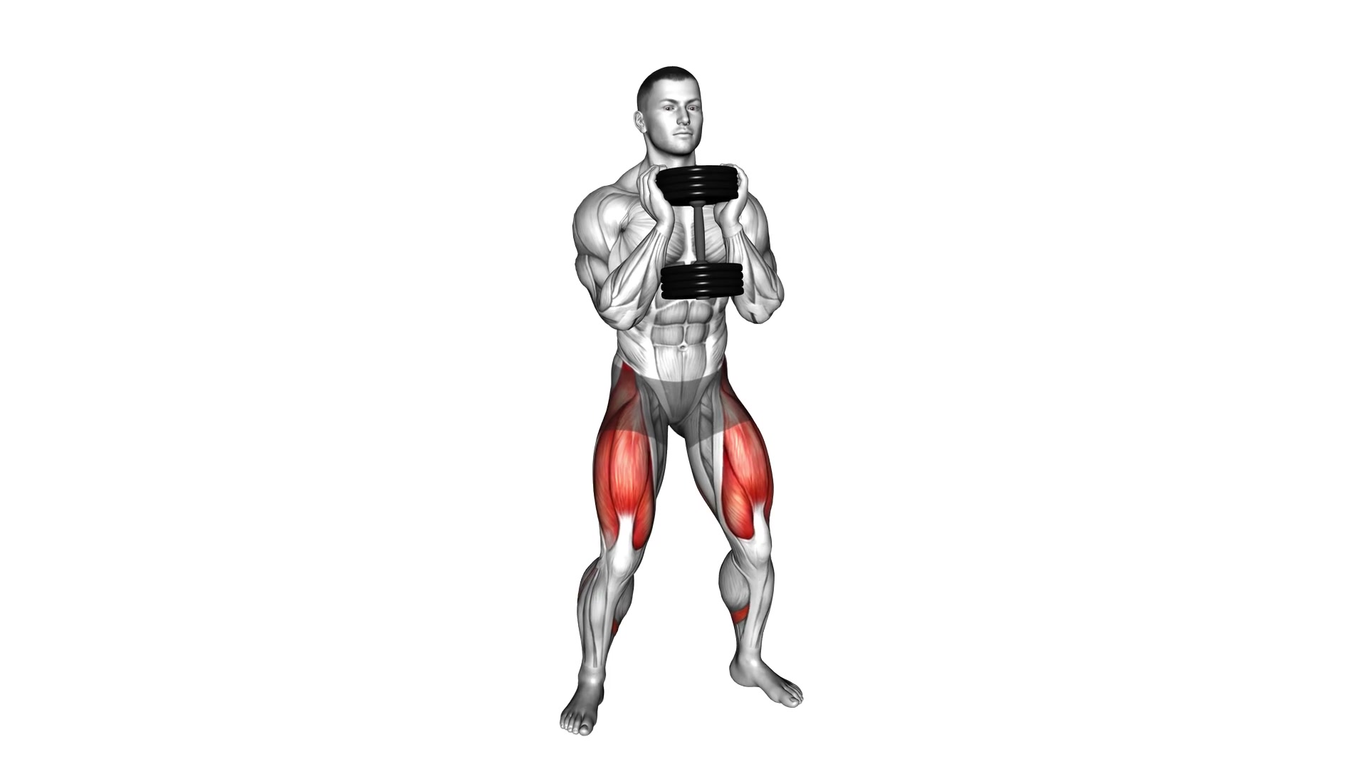 Dumbbell Goblet Squat demo