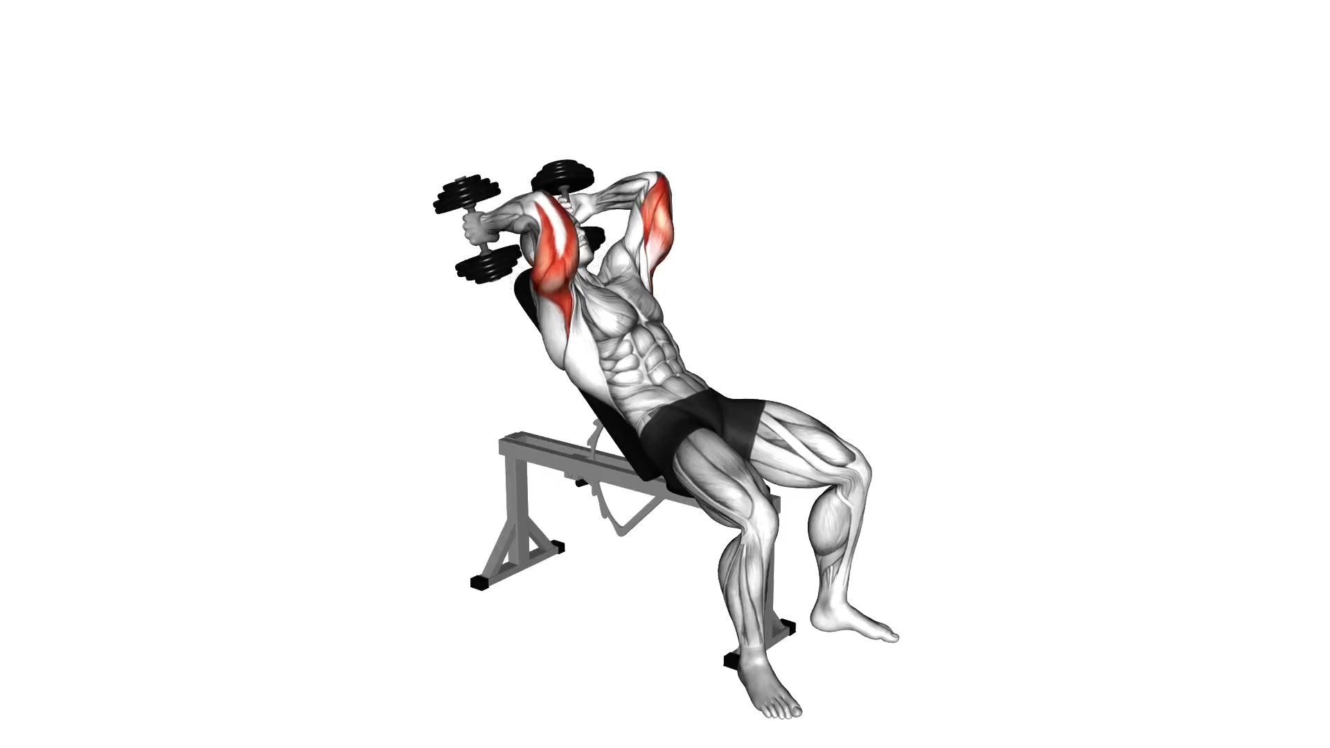 Dumbbell Incline Triceps Extension demo