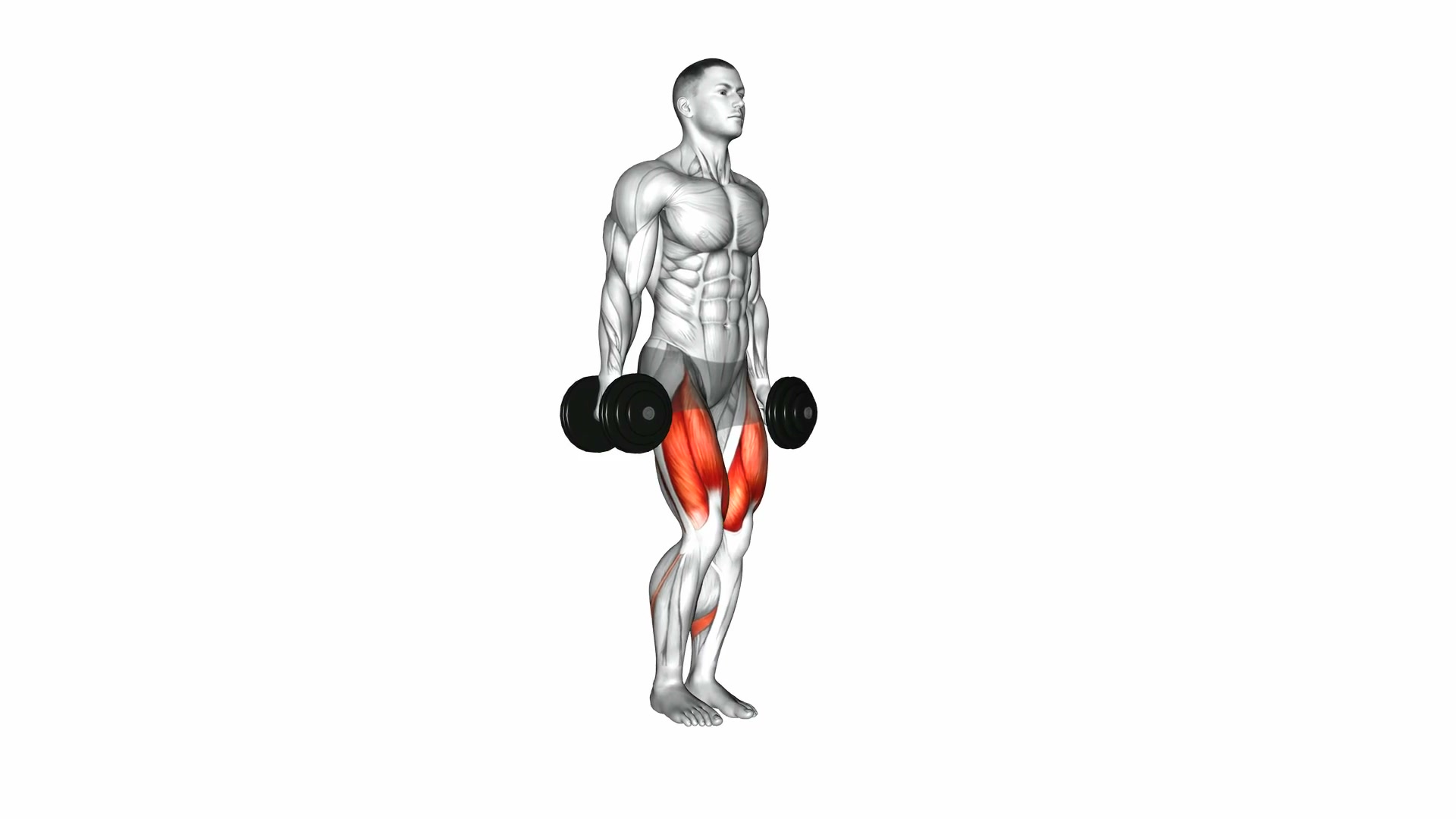 Dumbbell Lunge demo