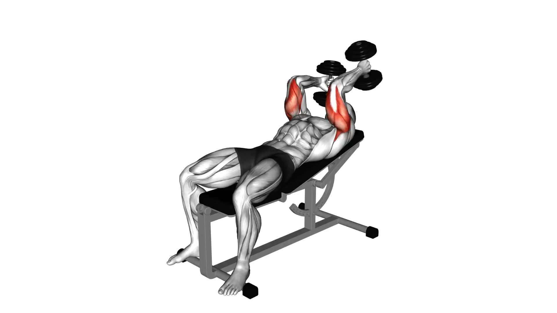 Dumbbell Lying Alternate Extension demo