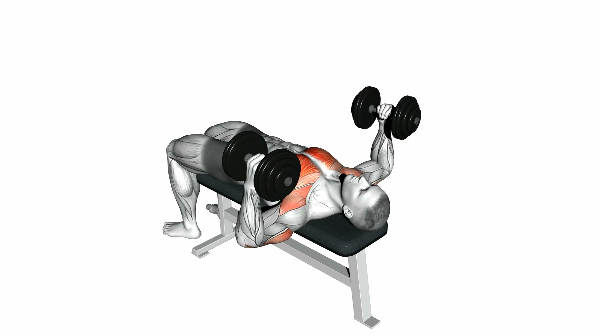 Dumbbell Lying Hammer Press demo