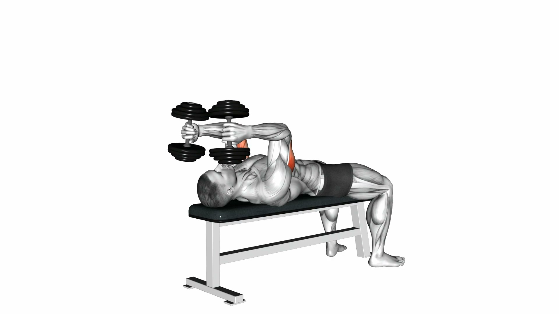 Dumbbell Lying Triceps Extension demo