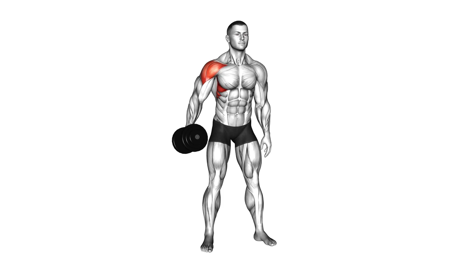 Dumbbell One Arm Lateral Raise demo