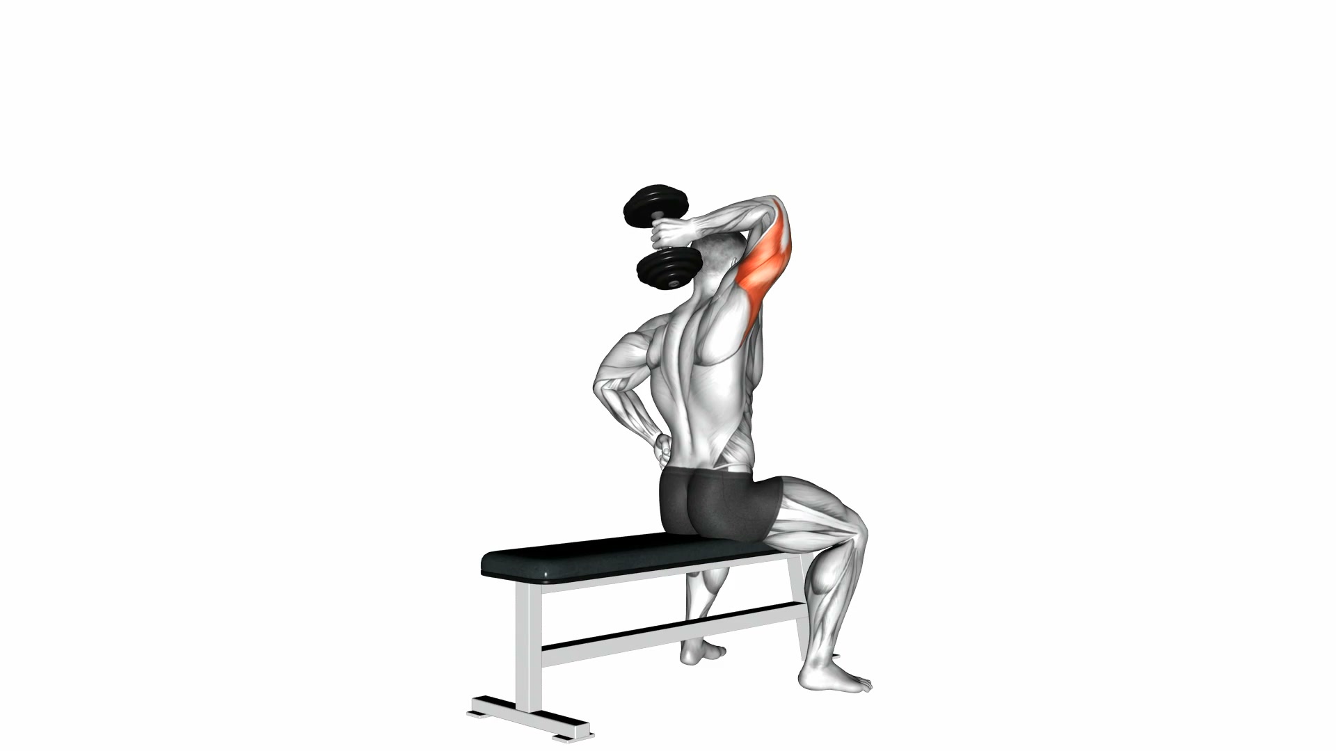 Dumbbell One-Arm Triceps Extension demo