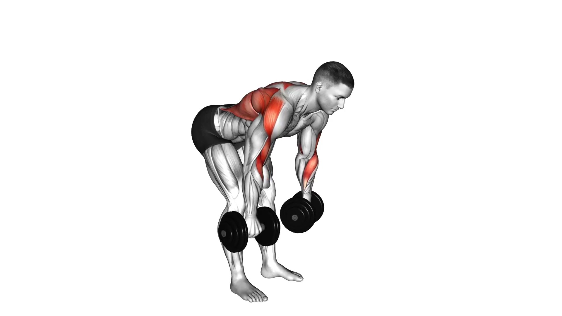 Dumbbell Palm Rotational Bent Over Row demo