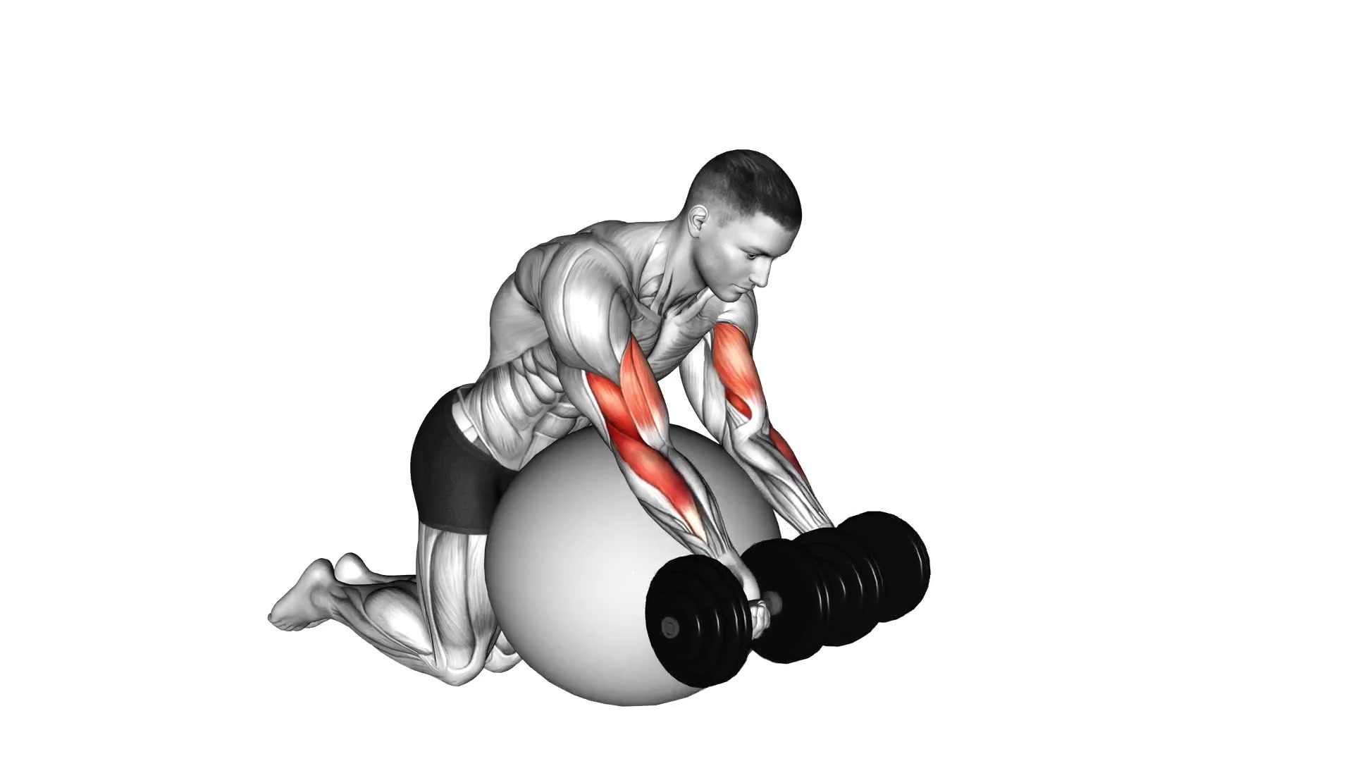 Dumbbell Preacher Curl Over Exercise Ball demo