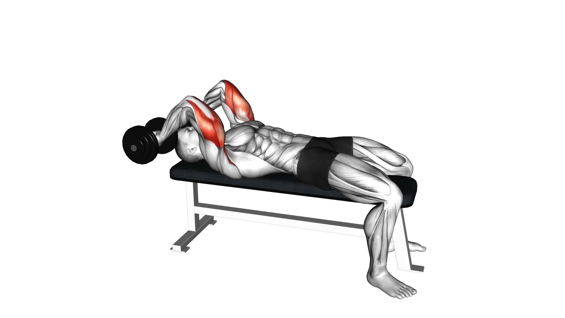 Dumbbell Pronate-grip Triceps Extension demo