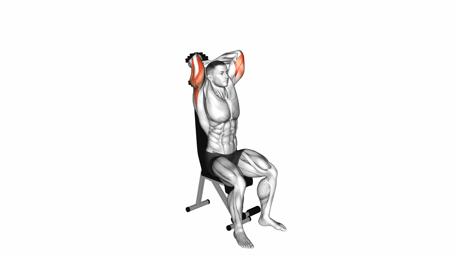 Dumbbell Seated Triceps Extension demo