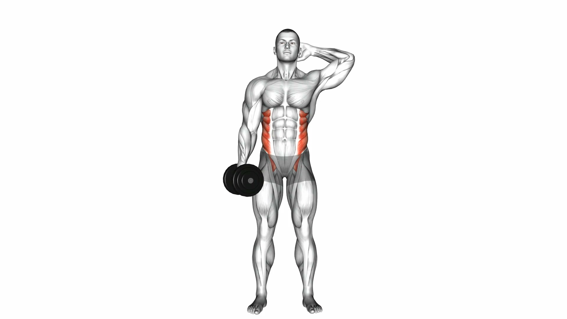 Dumbbell Side Bend demo