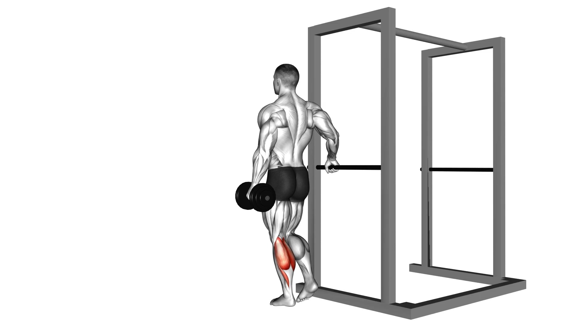 Dumbbell Single Leg Calf Raise demo