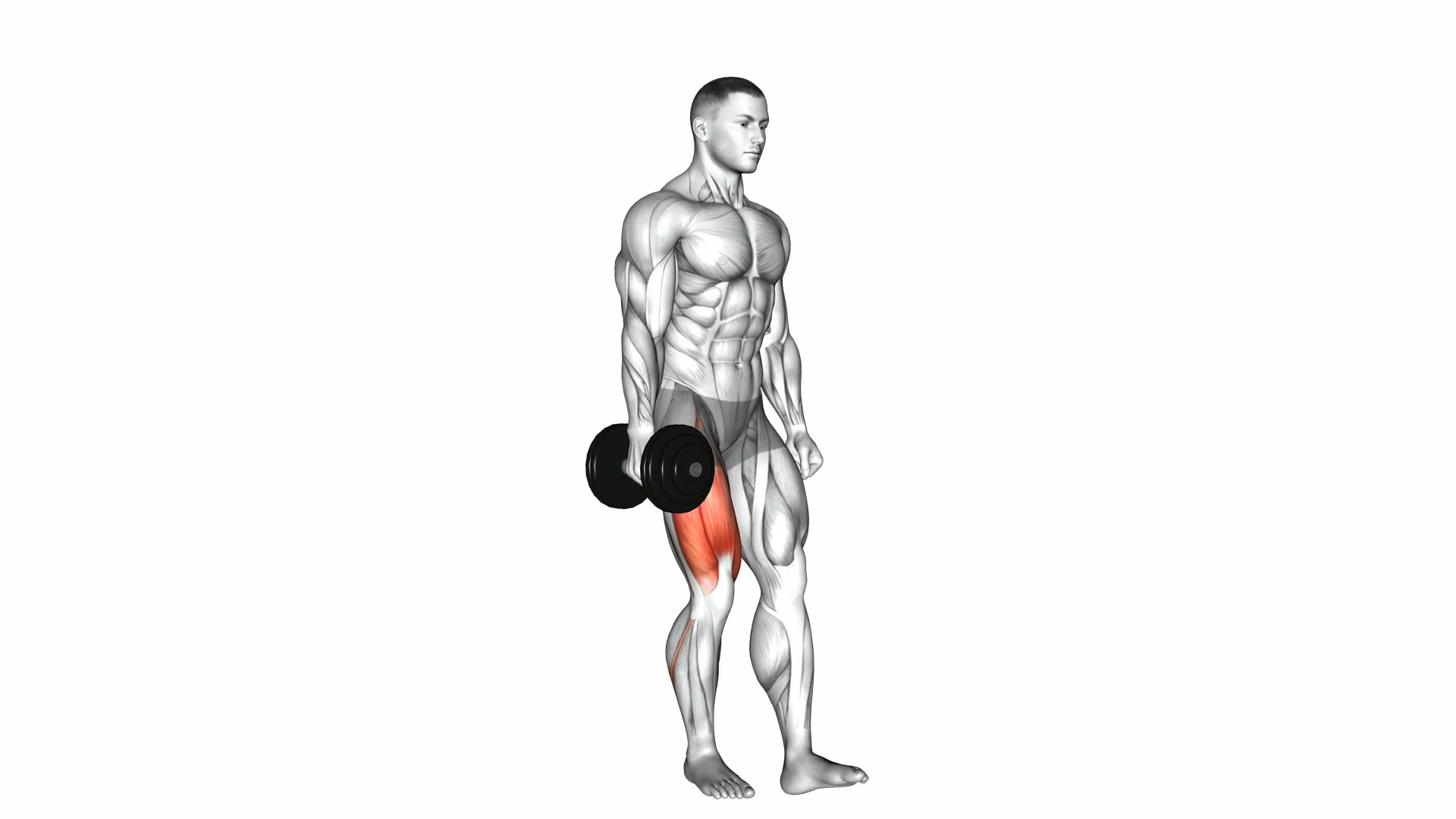 Dumbbell Single Leg Squat demo
