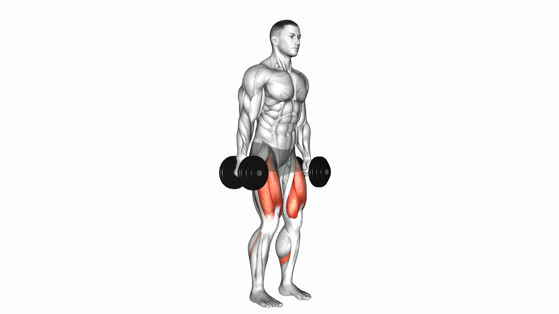 Dumbbell Squat demo
