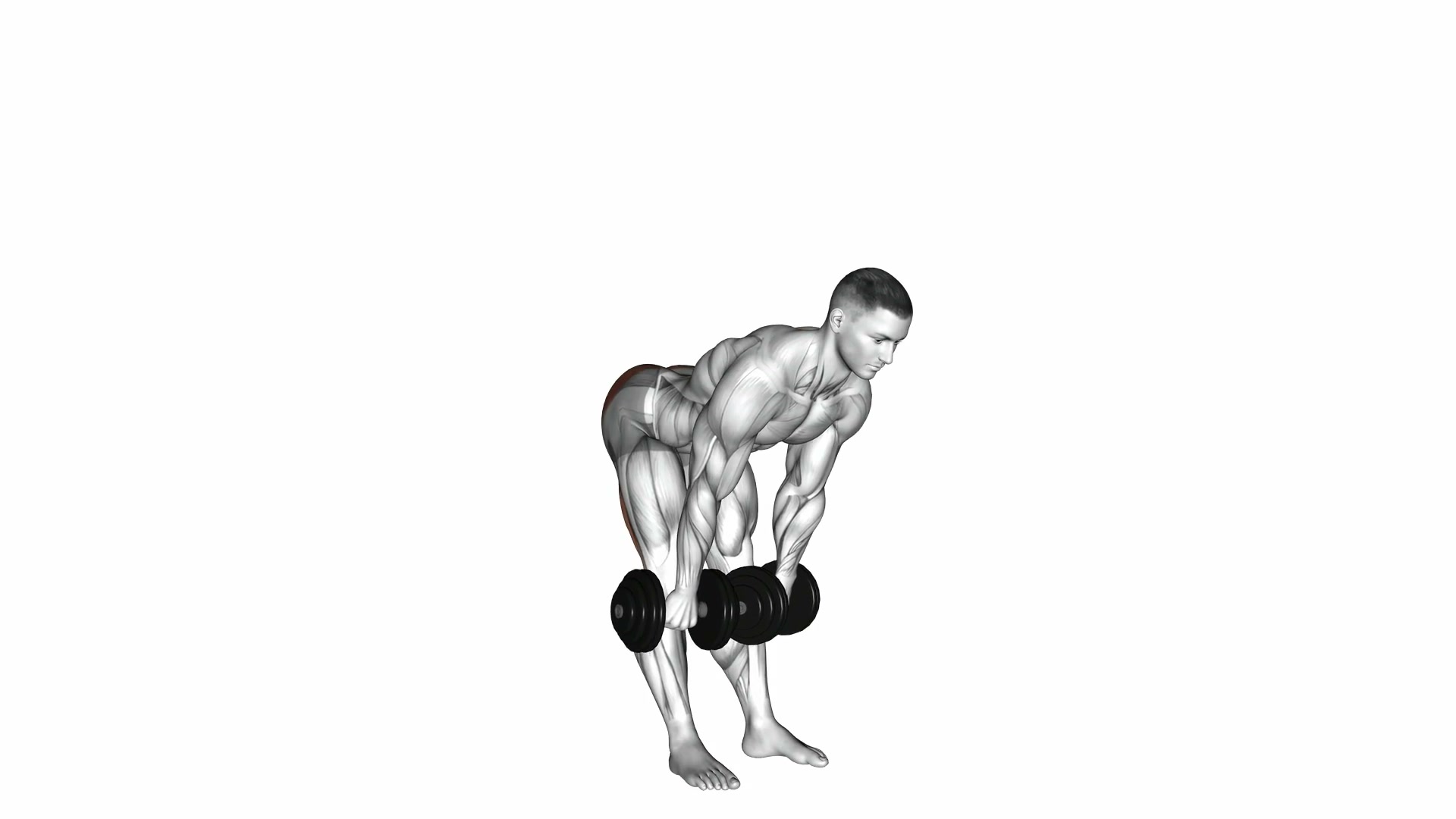 Dumbbell Stiff Leg Deadlift demo