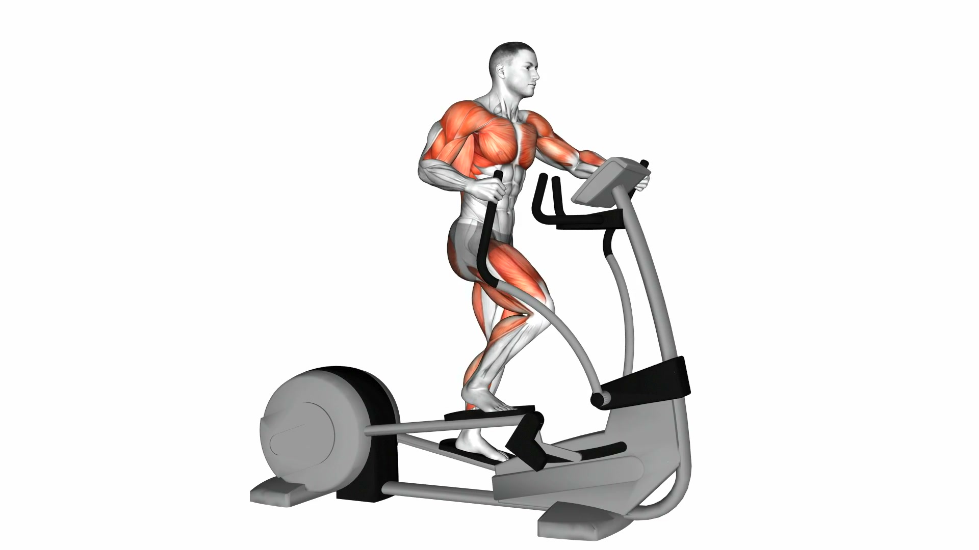 Elliptical Trainer