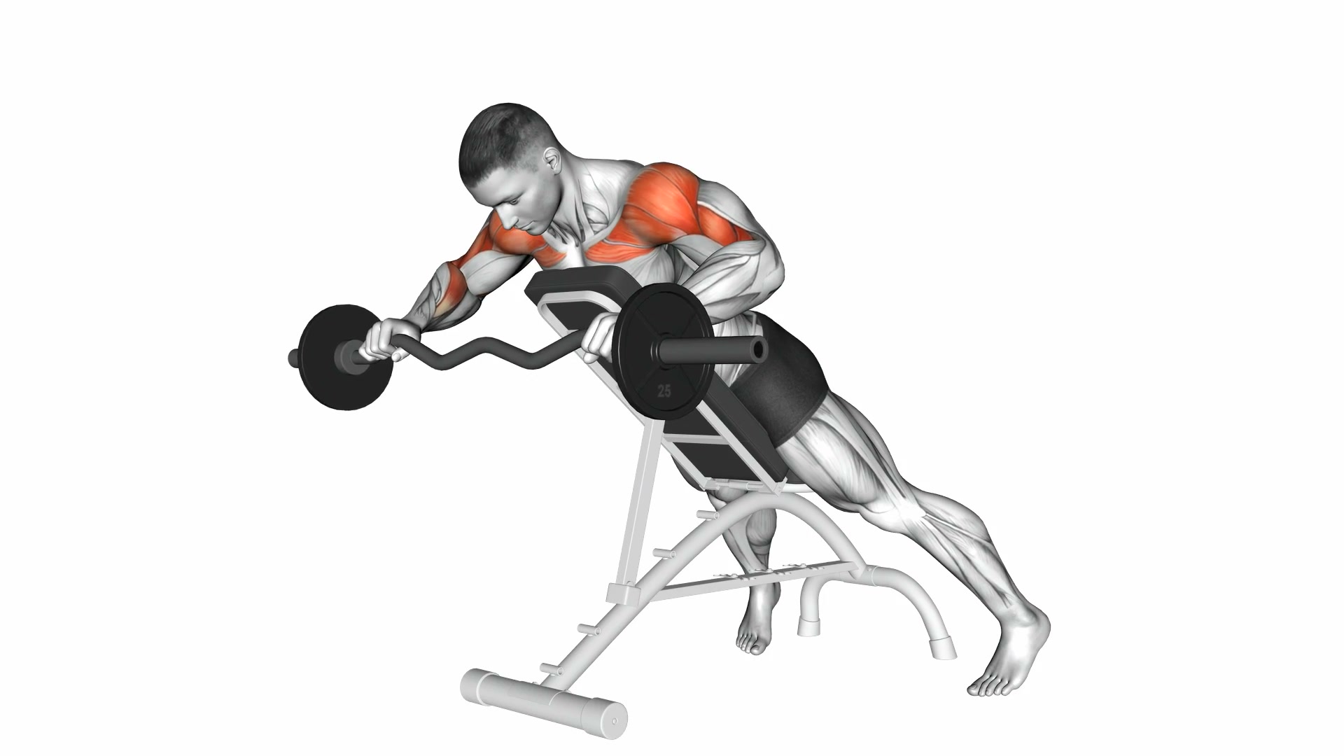 EZ Barbell Anti Gravity Press demo