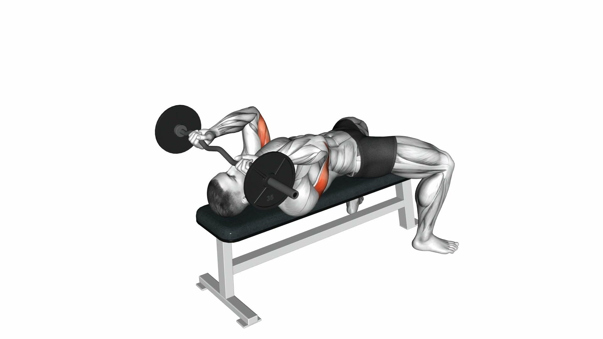 EZ Bar Lying Triceps Extension demo