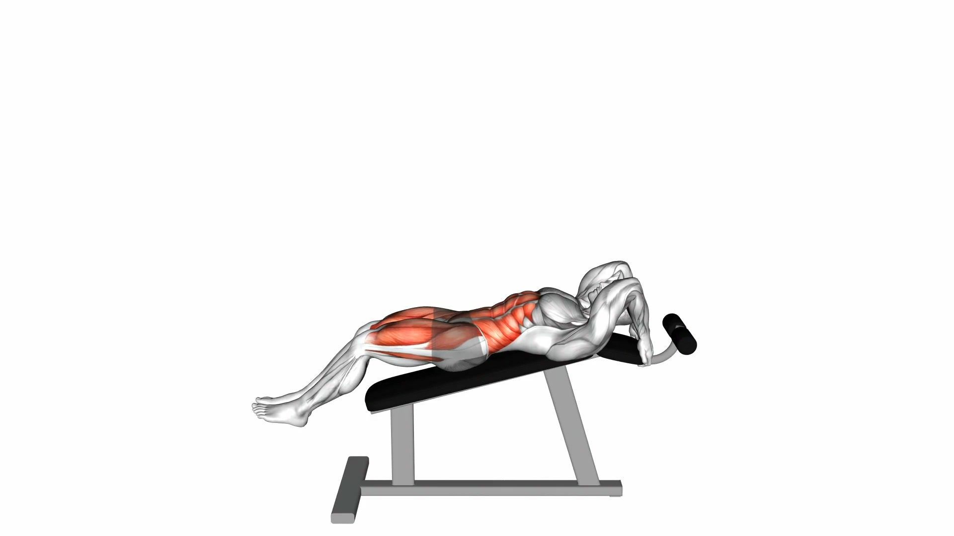 Incline Leg Hip Raise demo