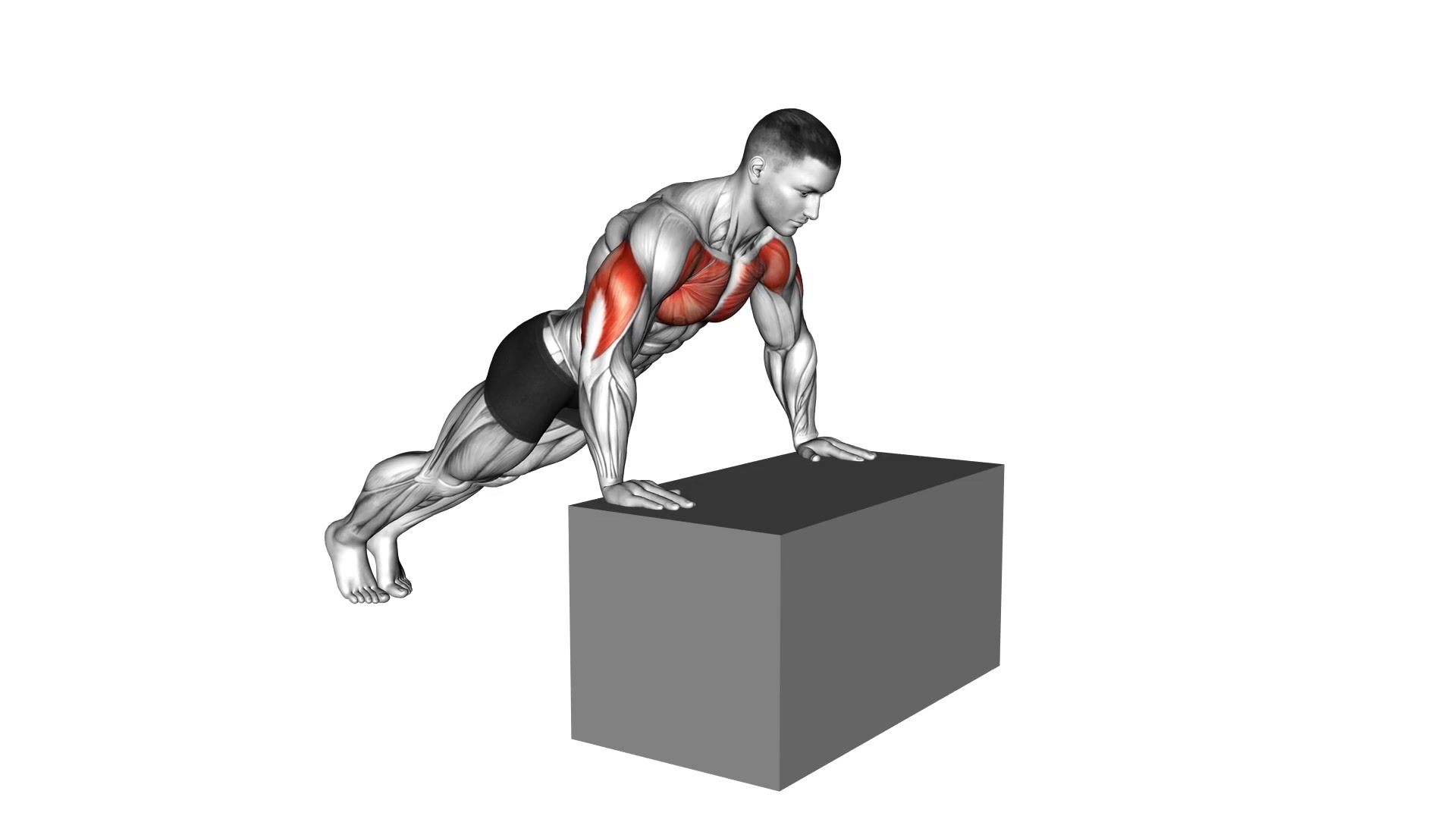 Incline Push-Up demo