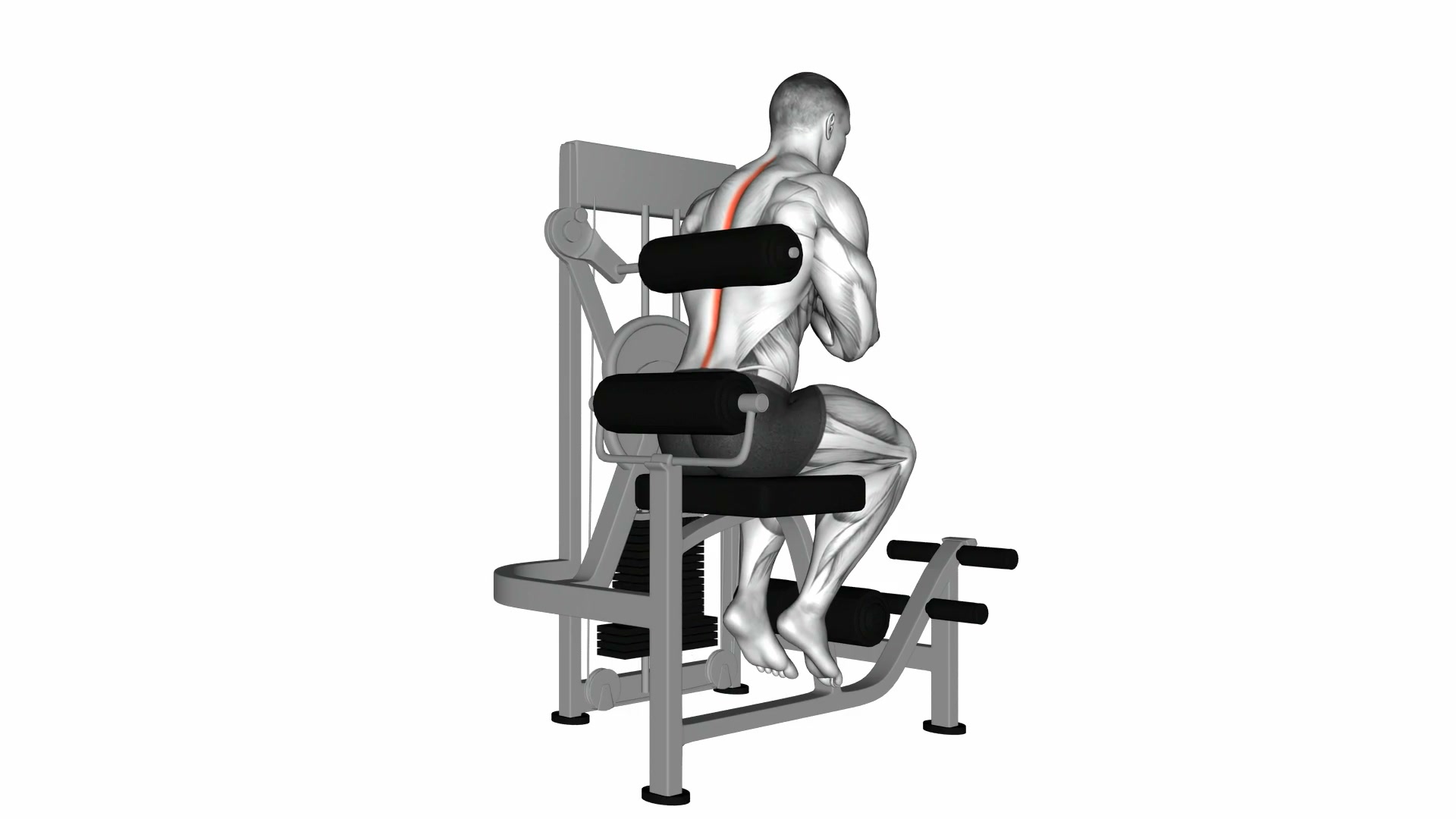 Lever Back Extension demo