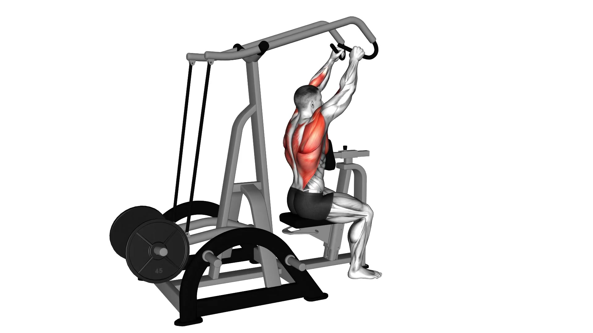 Lever High Row demo