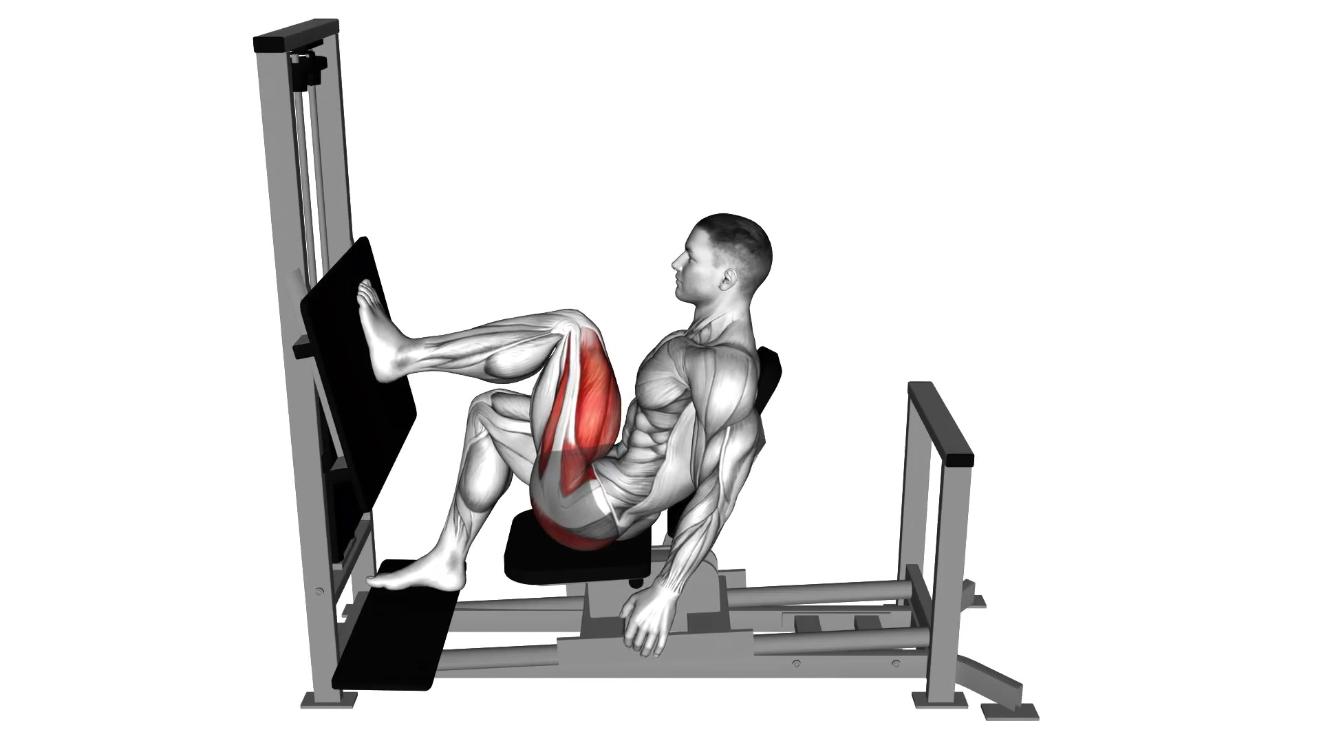 Lever Horizontal Leg Press demo