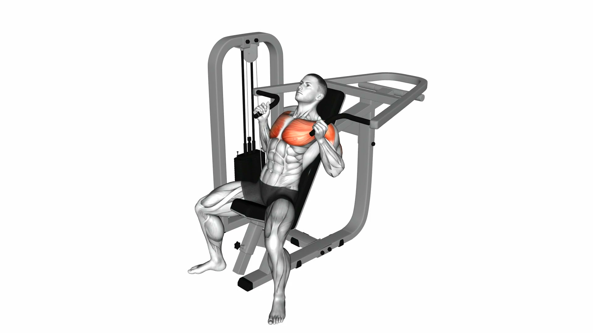 Lever Incline Hammer Chest Press demo