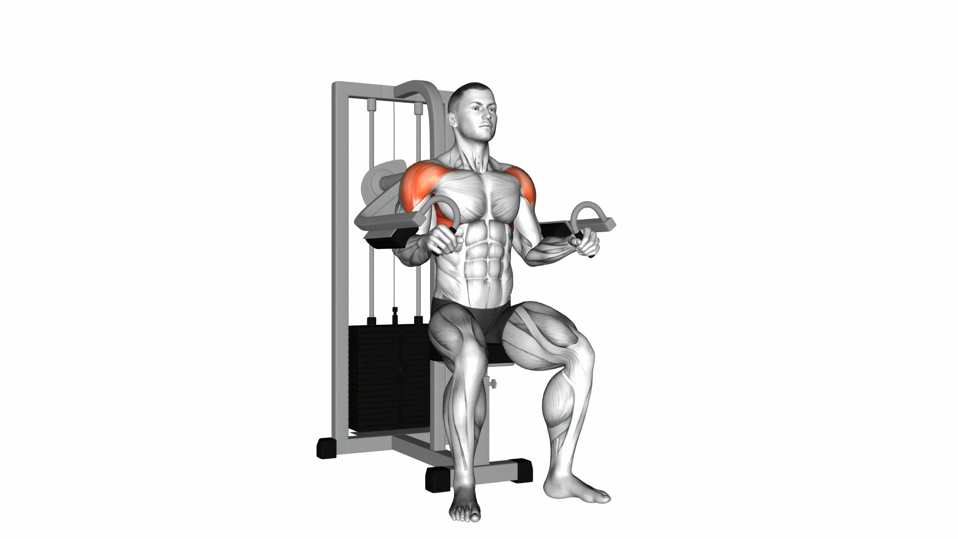 Lever Lateral Raise demo