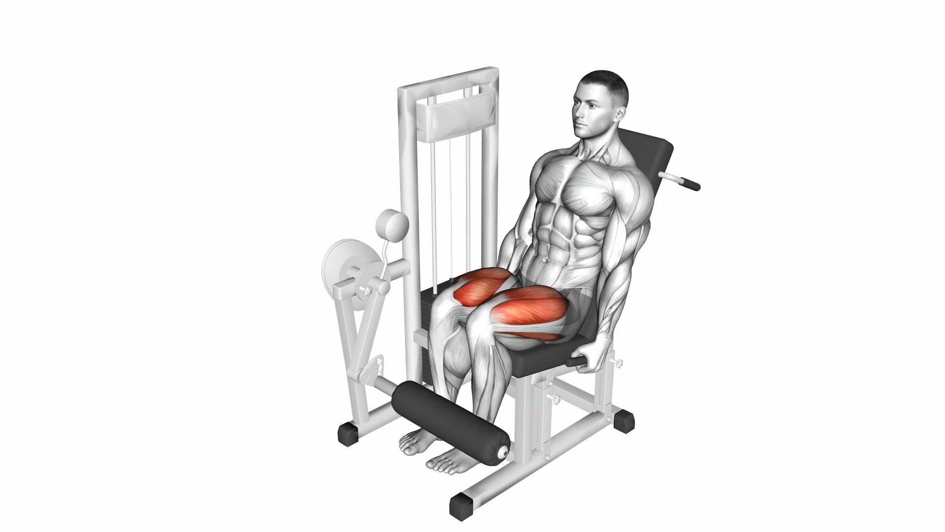 Lever Leg Extension demo