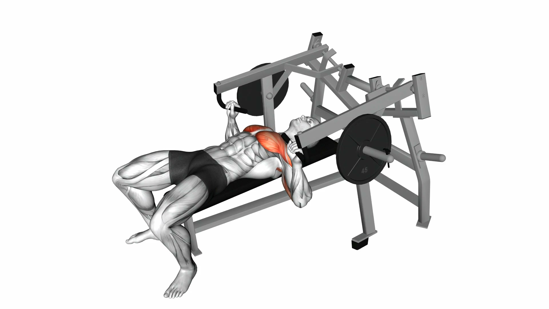 Lever Lying Chest Press demo