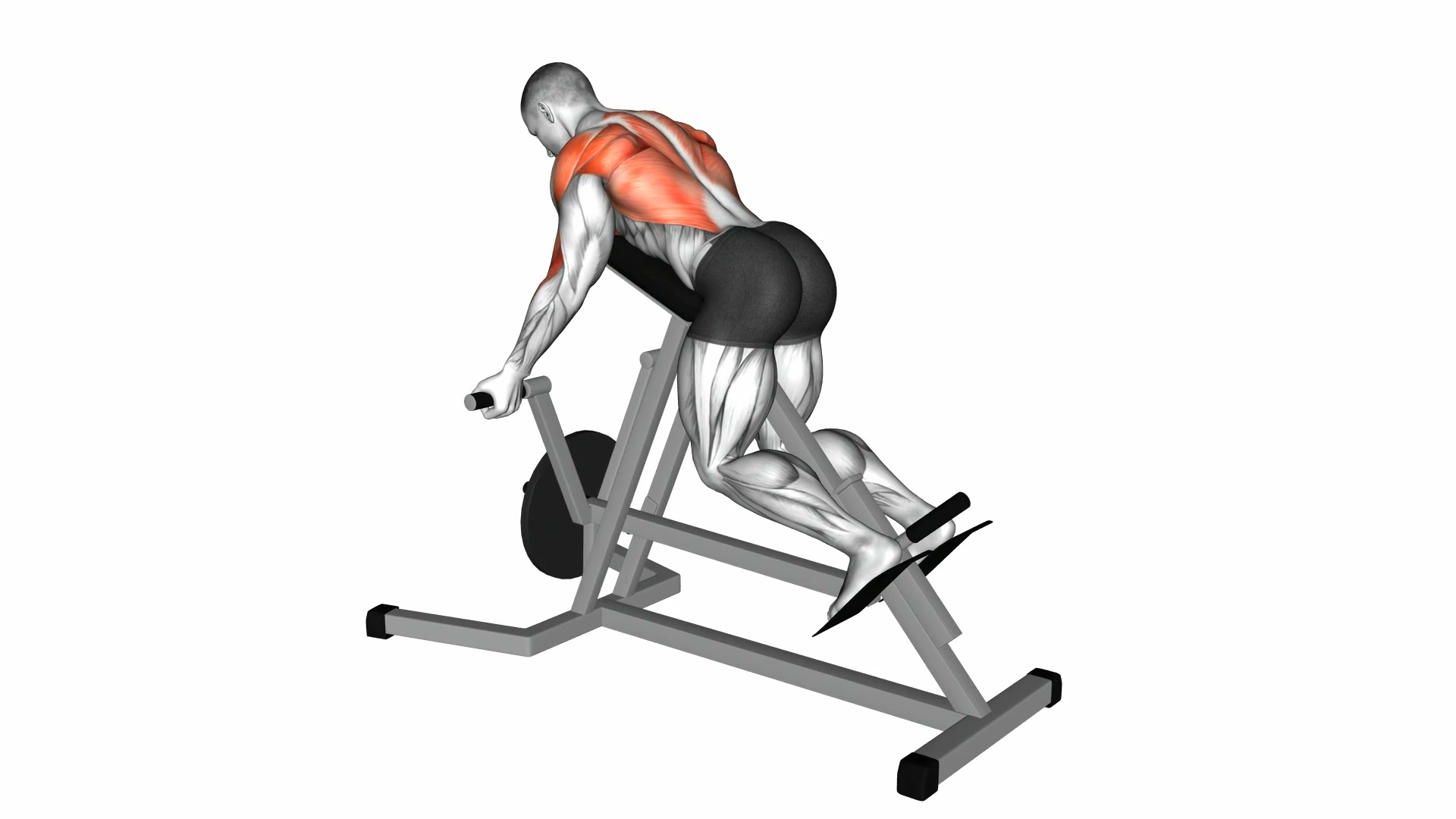 Lever Reverse T-Bar Row demo