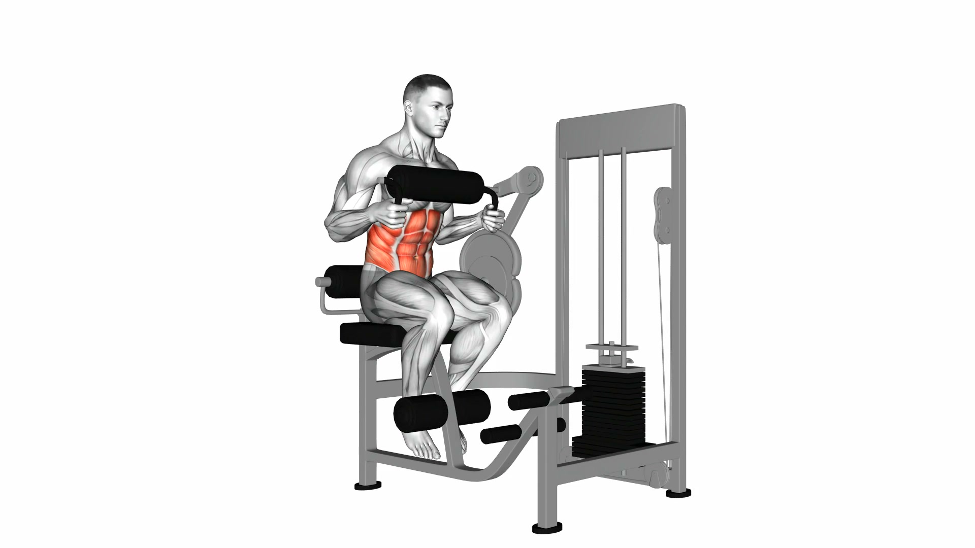 Lever Seated Crunch demo