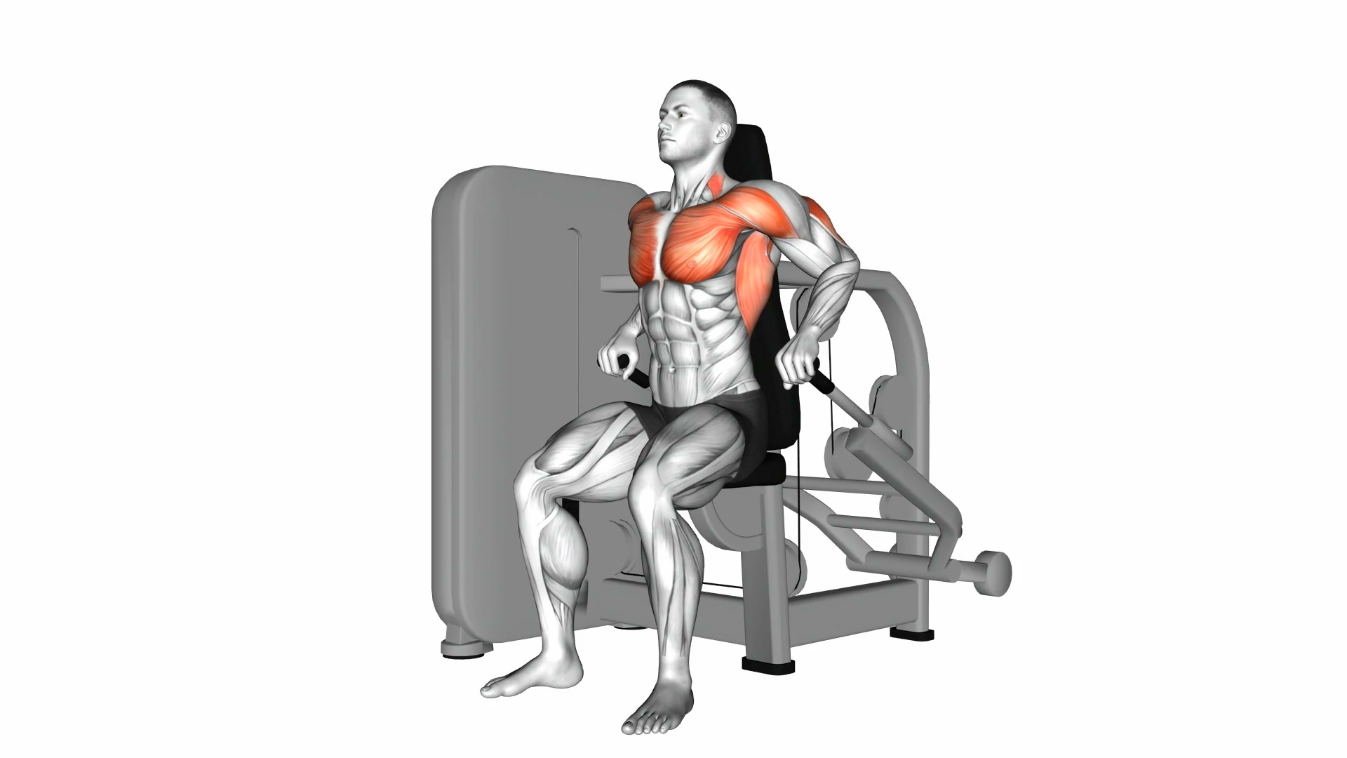 Lever Seated Dip demo
