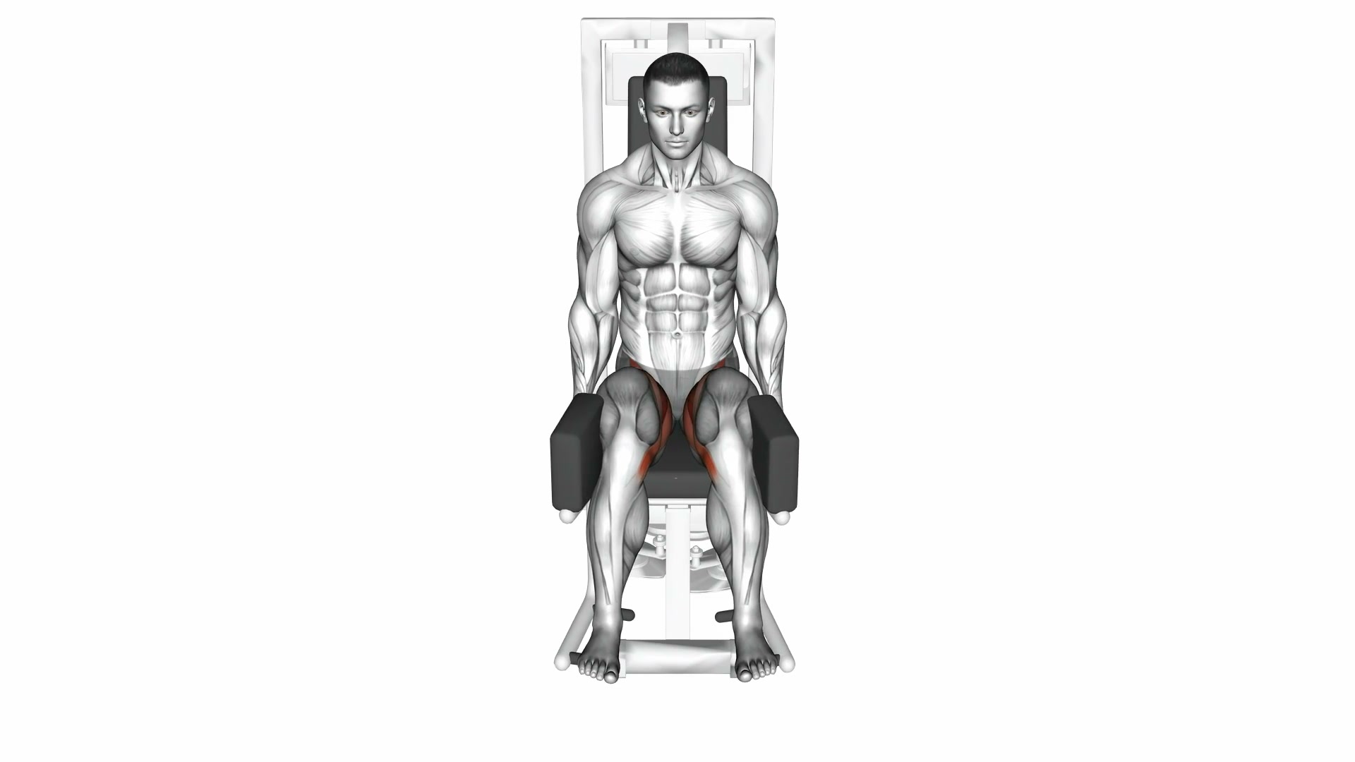 Lever Seated Hip Abduction demo