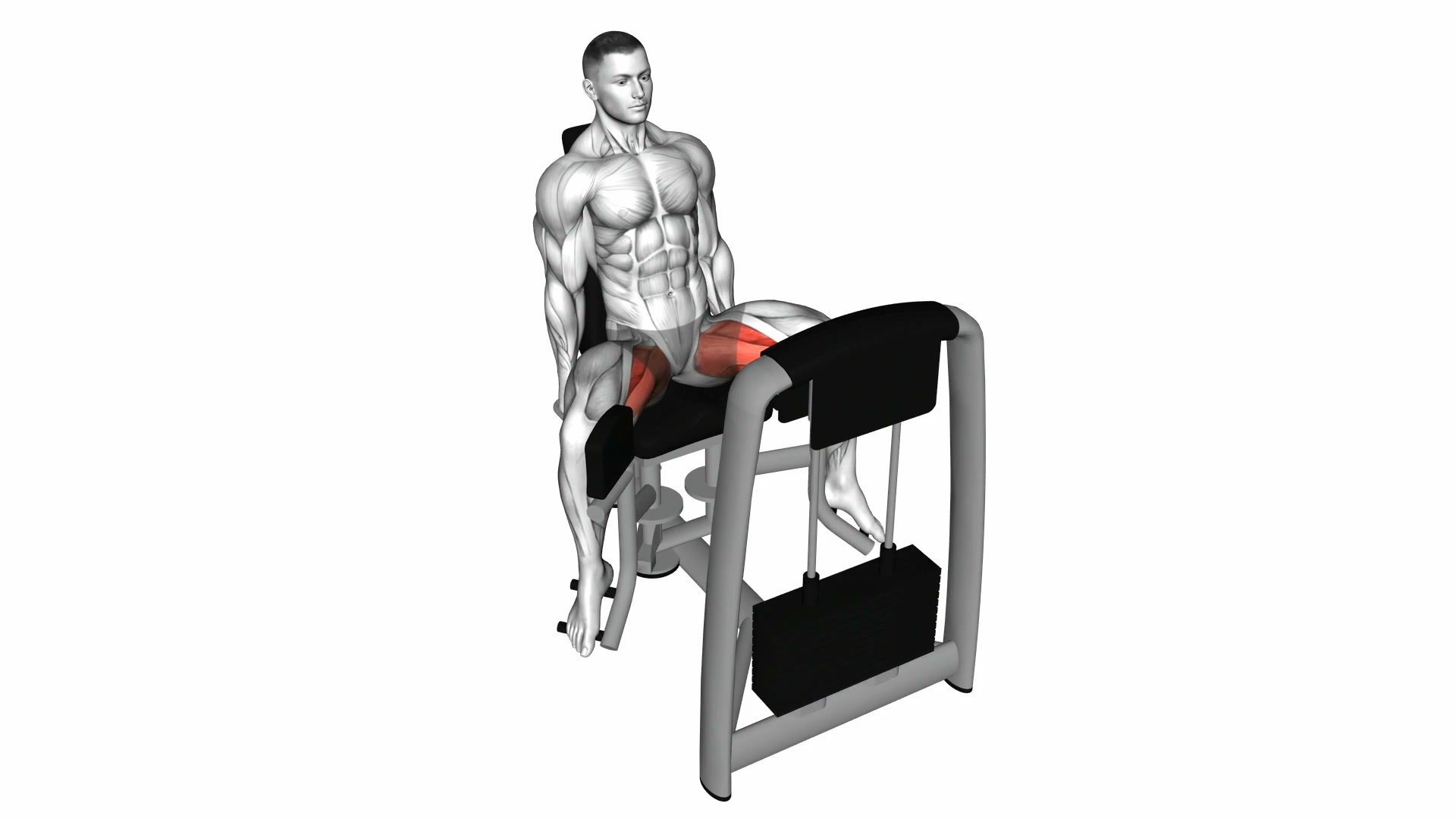 Lever Seated Hip Adduction demo