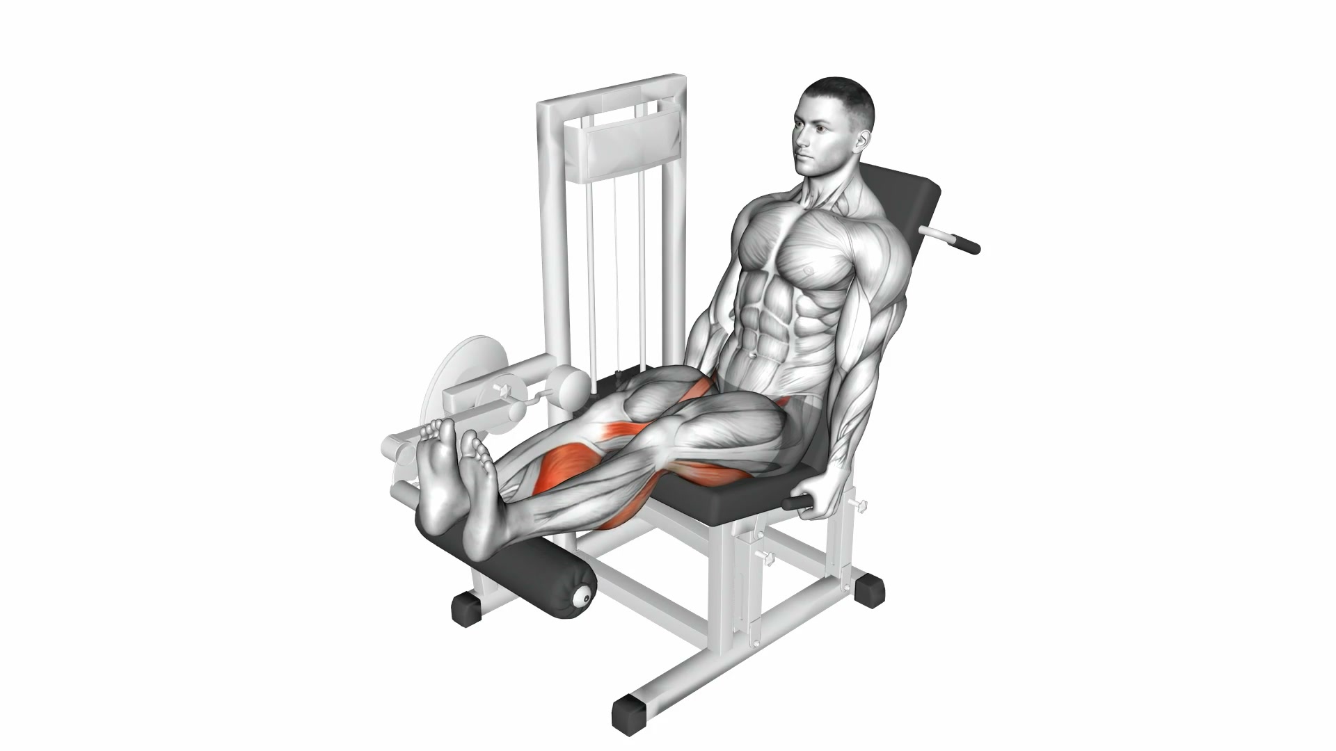 Lever Seated Leg Curl demo