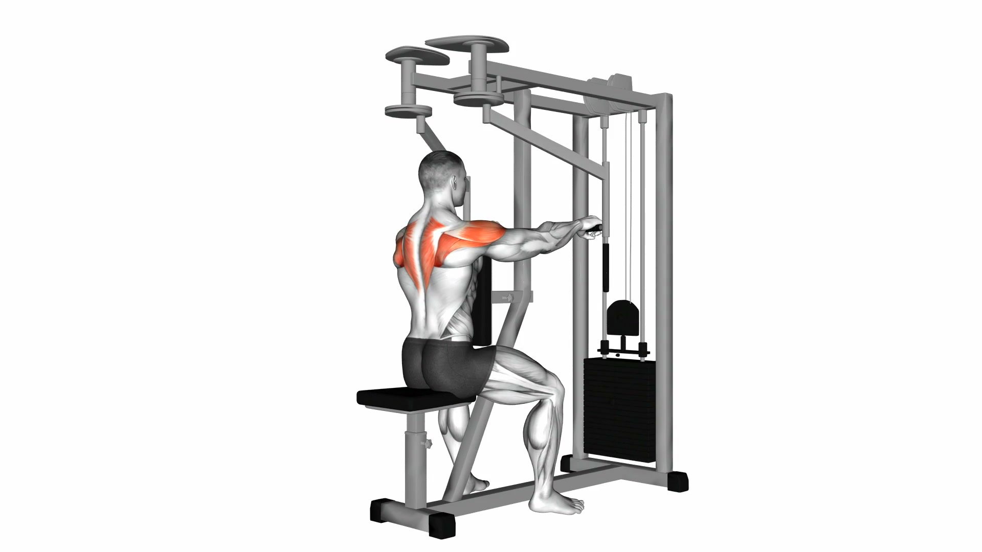 Lever Seated Reverse Fly demo