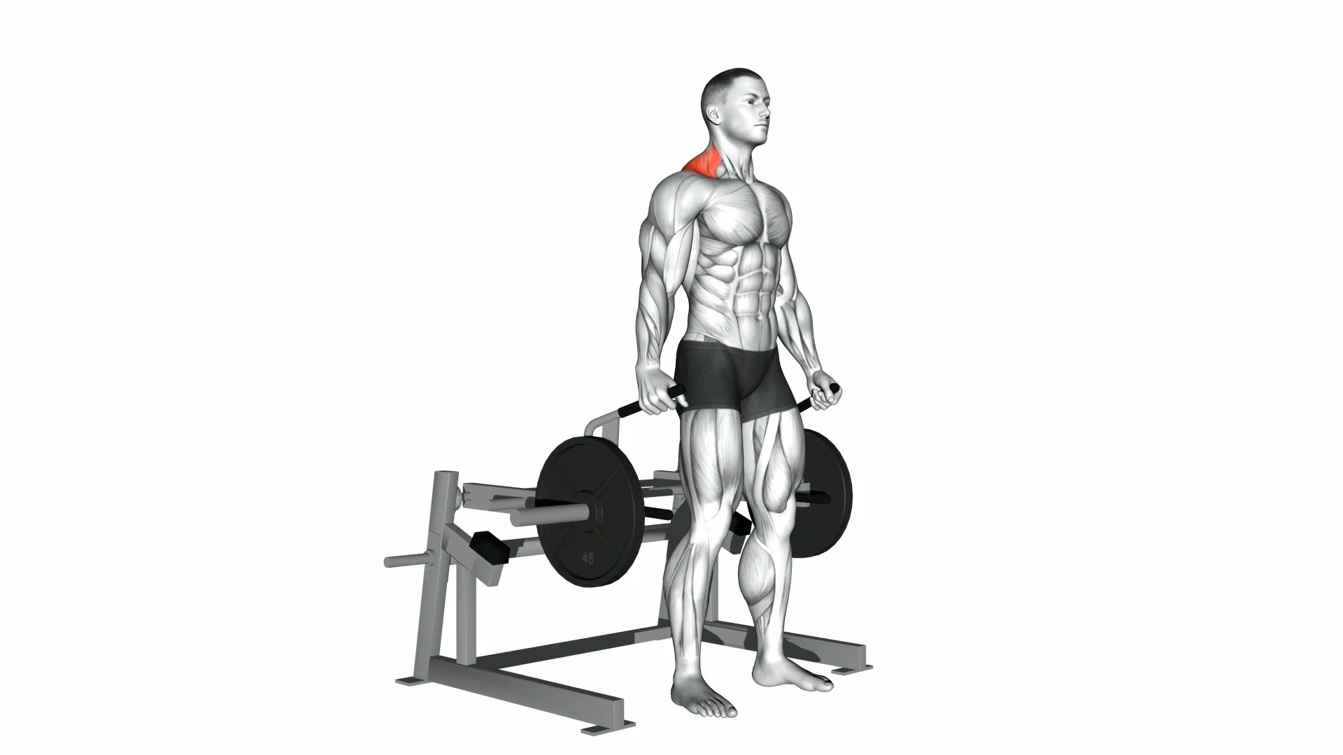 Lever Shrug demo
