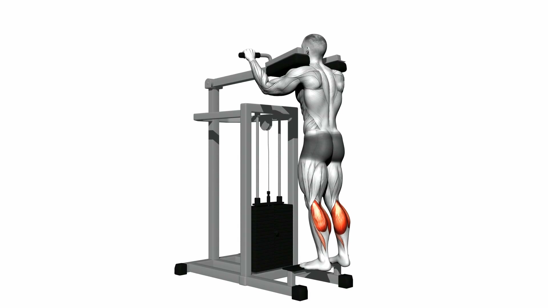 Lever Standing Calf Raise demo