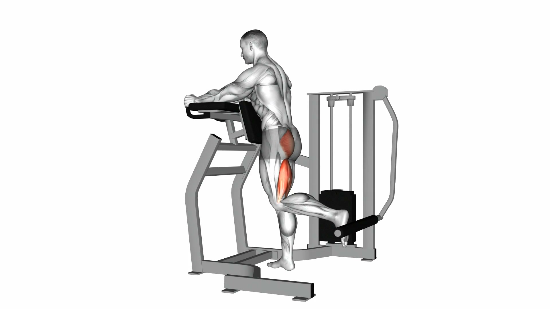 Lever Standing Hip Extension demo